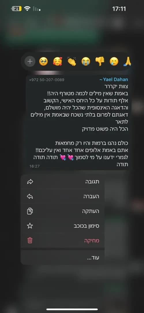 ביקורת 15